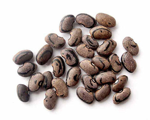 Frijol de semi-guía parraleño