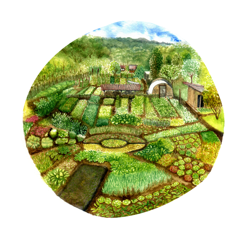 Red nacional de productores de semillas