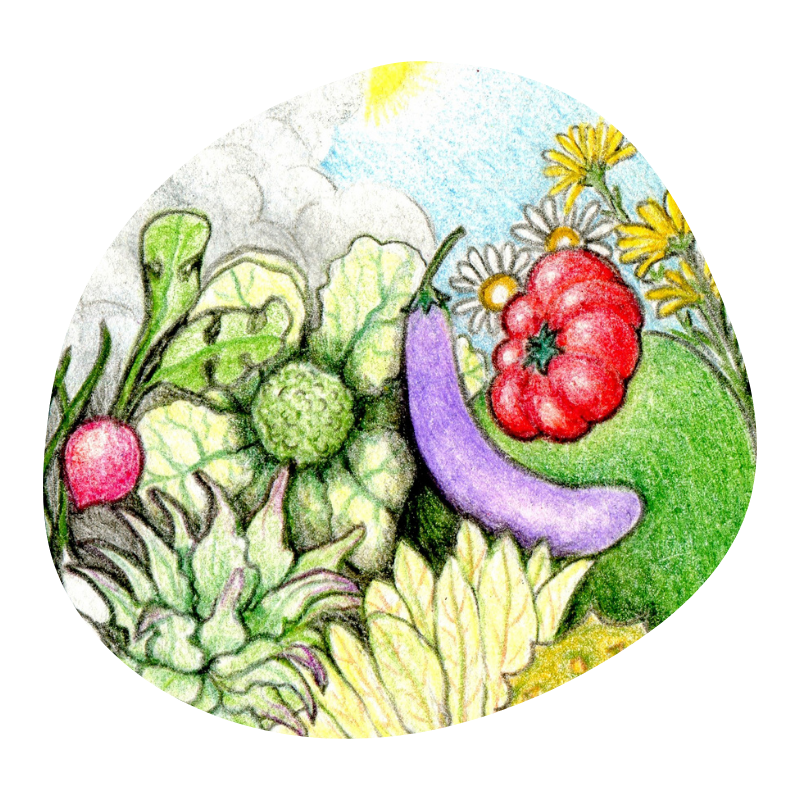 Semillas y plantas agroecológicas